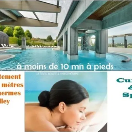 G1 Dans Avec Jardin, Proche Des Thermes * אקס-לה-באינס